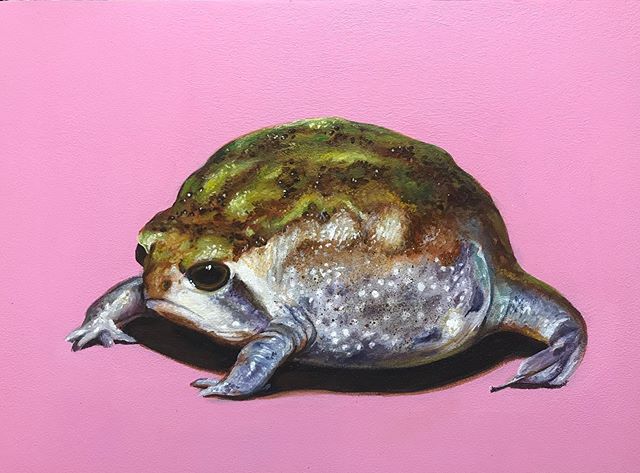 Grumpy Frog 9” x 12” acrylic on panel #karljahnke #artist #art#artwork #painting #acrylicpainting #frog#frogart #frogpainting #contemporaryart