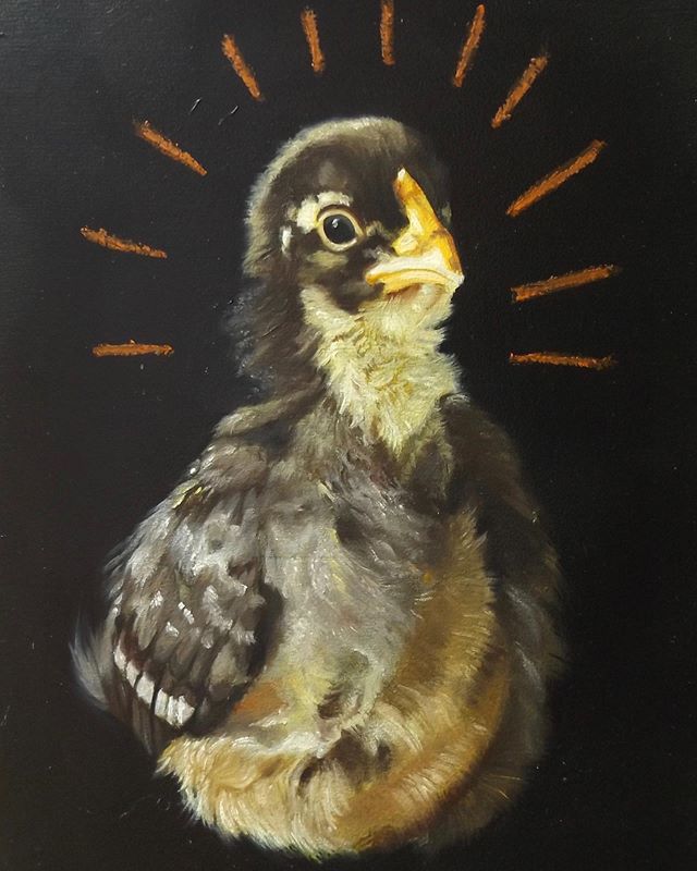 Chick 9&rdquo; x 12&rdquo; oil on board #karljahnke #art#artist#chicken#chickenart#painting #chickenpainting #artwork#oilpainting