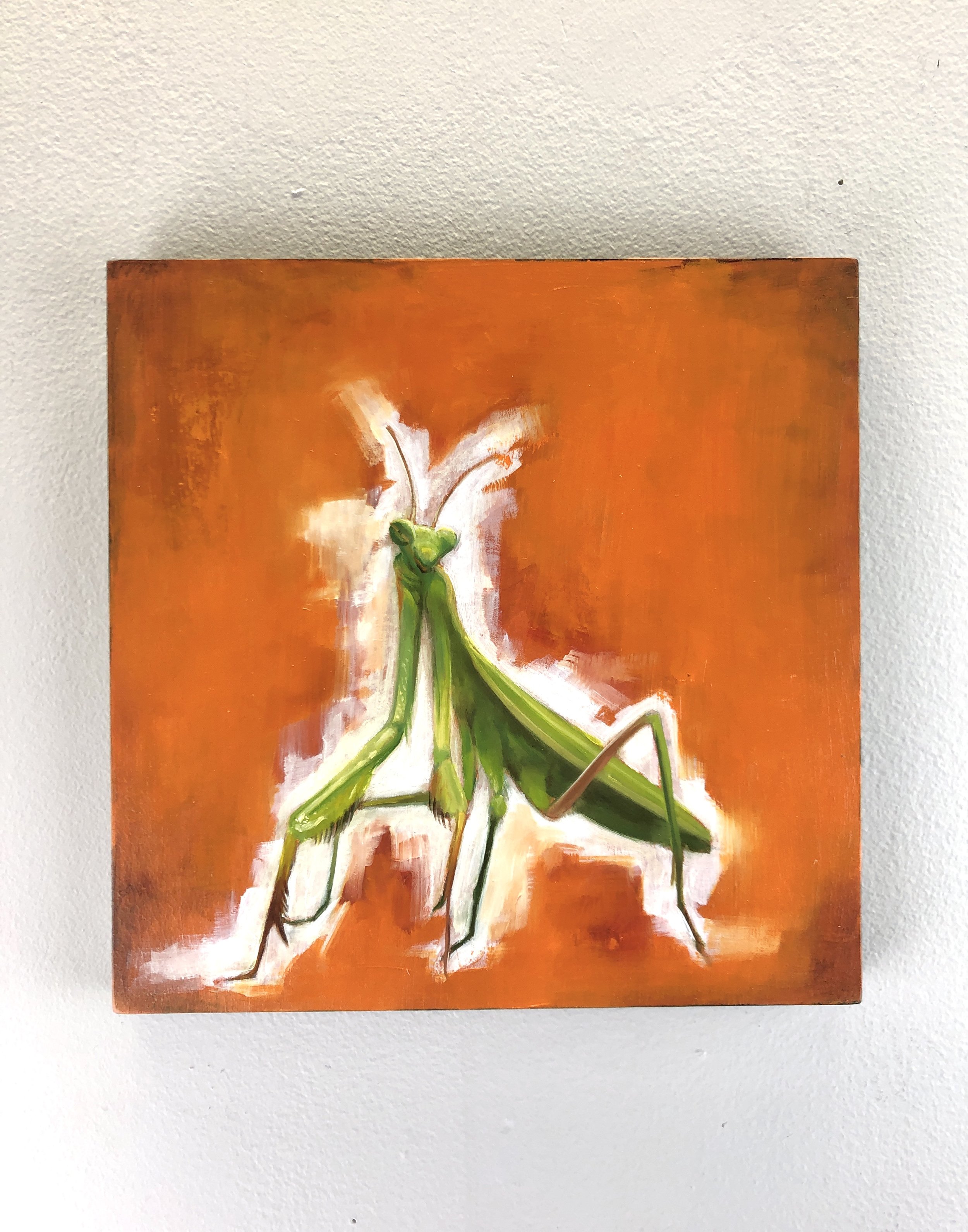 image1 (1).jpeg
