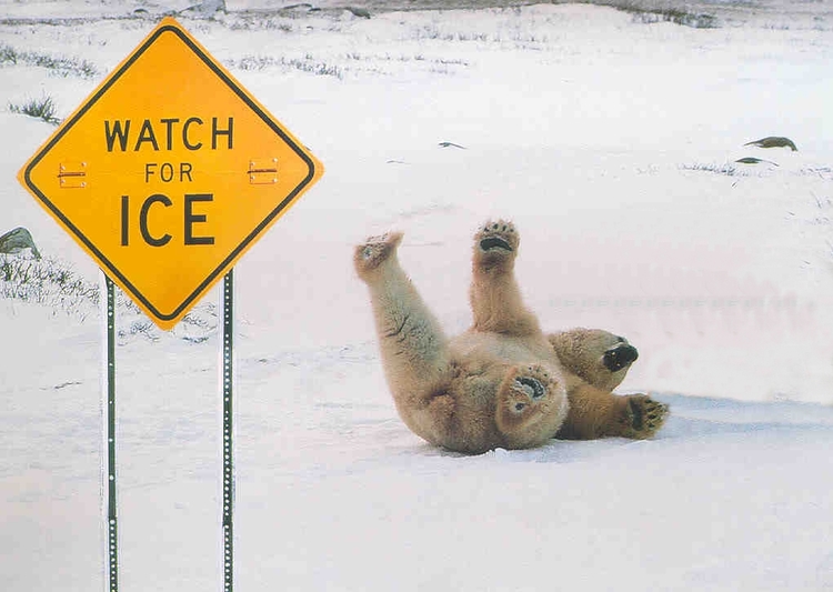 FallOnIce-738120.jpeg