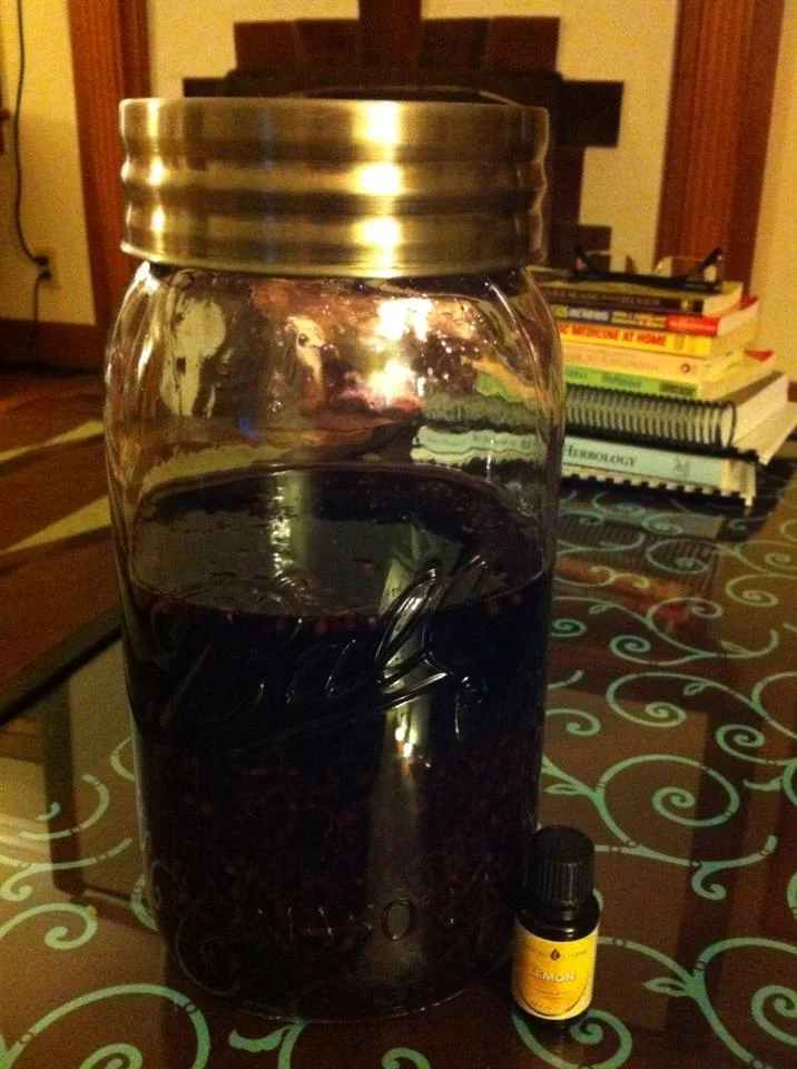 Elderberries that have been soaking in vodka for about 4 weeks. Always soak herbs in vodka in a glass container. 