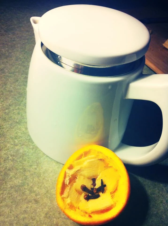 Orange Peel with Sliced Ginger and a few dried Cloves - other complementary herbs would be licorice root, perhaps a bit of cinnamon or even slippery elm perhaps. 