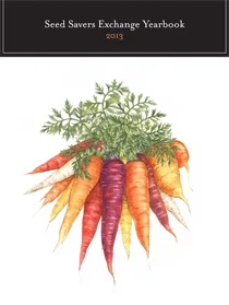 Carrot.jpg