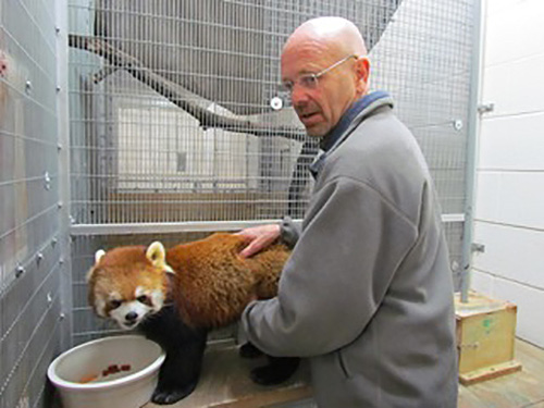 Dr. Michael Petersen and a red panda.