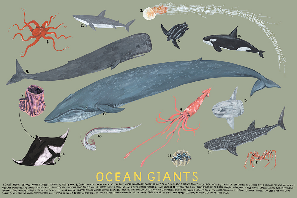 ocean-giants-full-scan.jpg