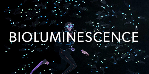 bioluminescence_thumb.jpg