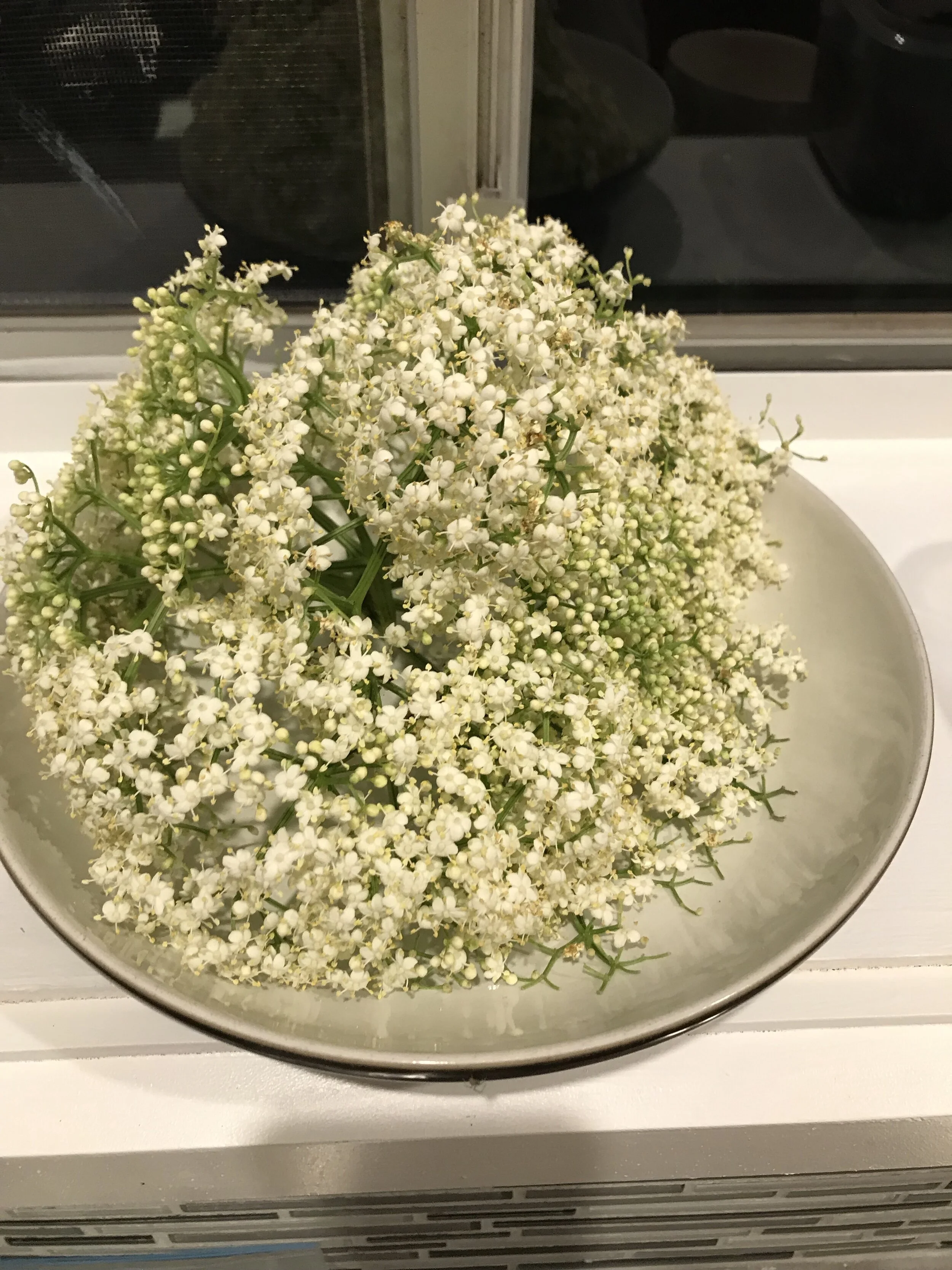 Elder flowers from my garden