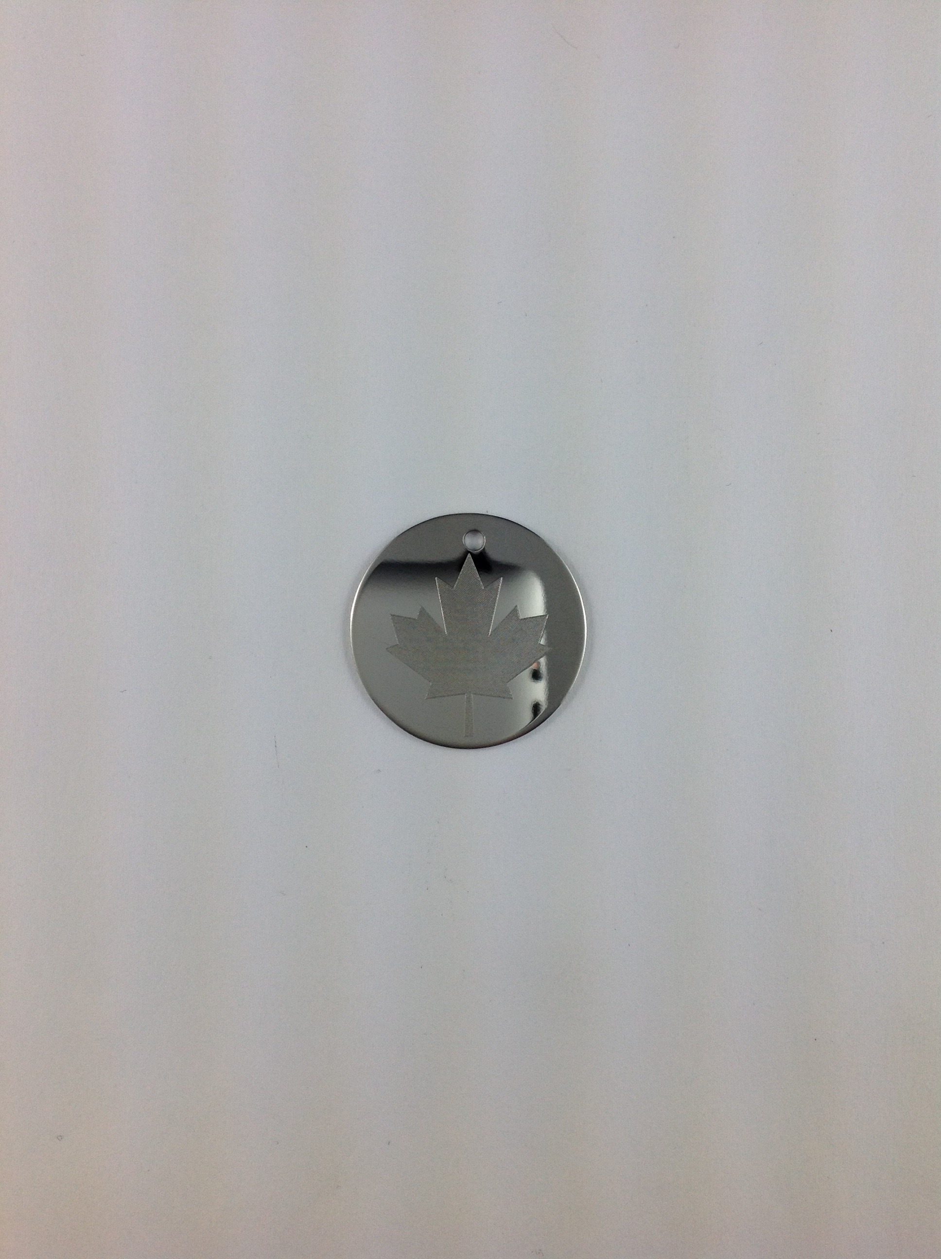 DigitalCarver-RoundPendant-FullSizeRender_6.jpg