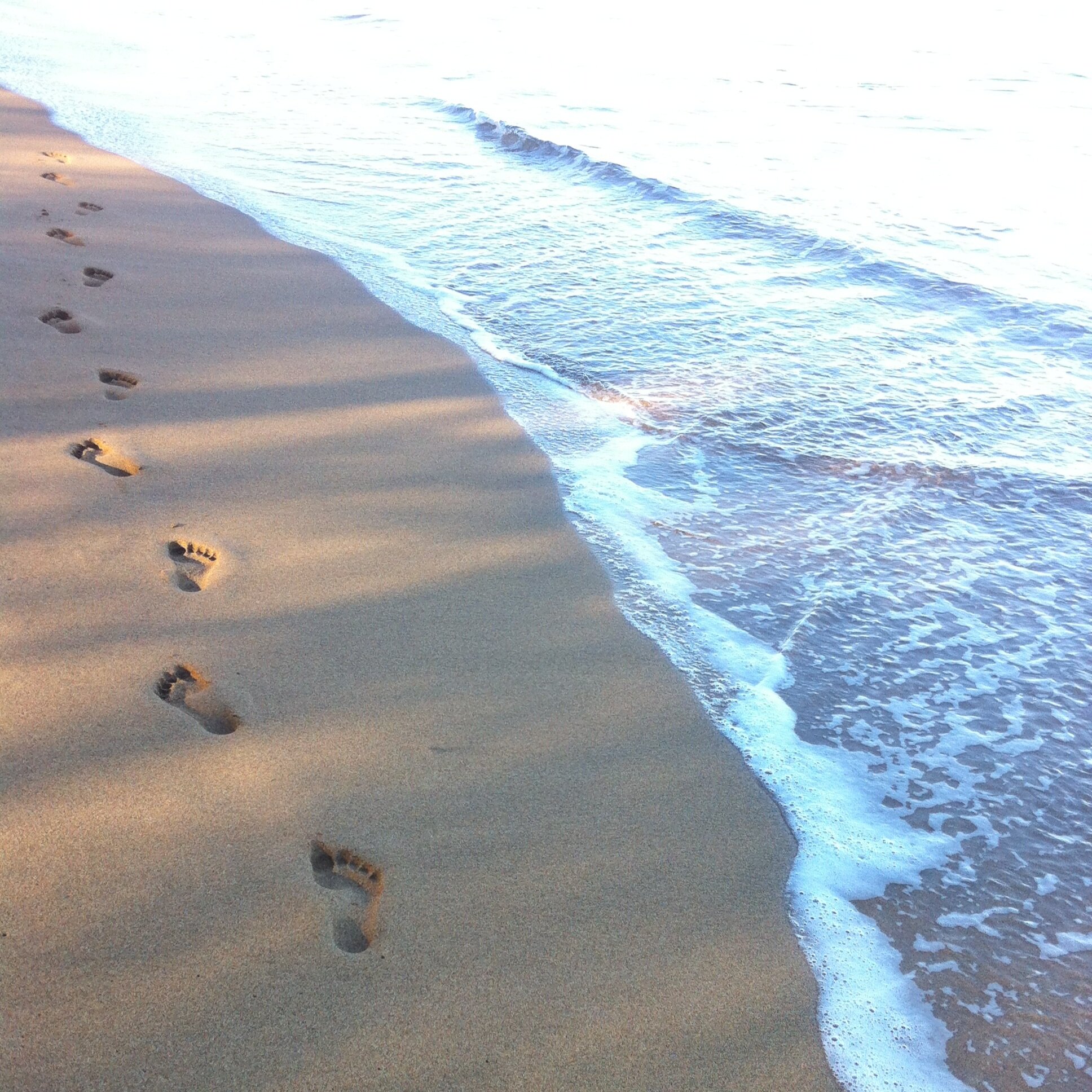 Pursue some path, however narrow and crooked, in which you can walk with love and reverence. ~ Henry David Thoreau