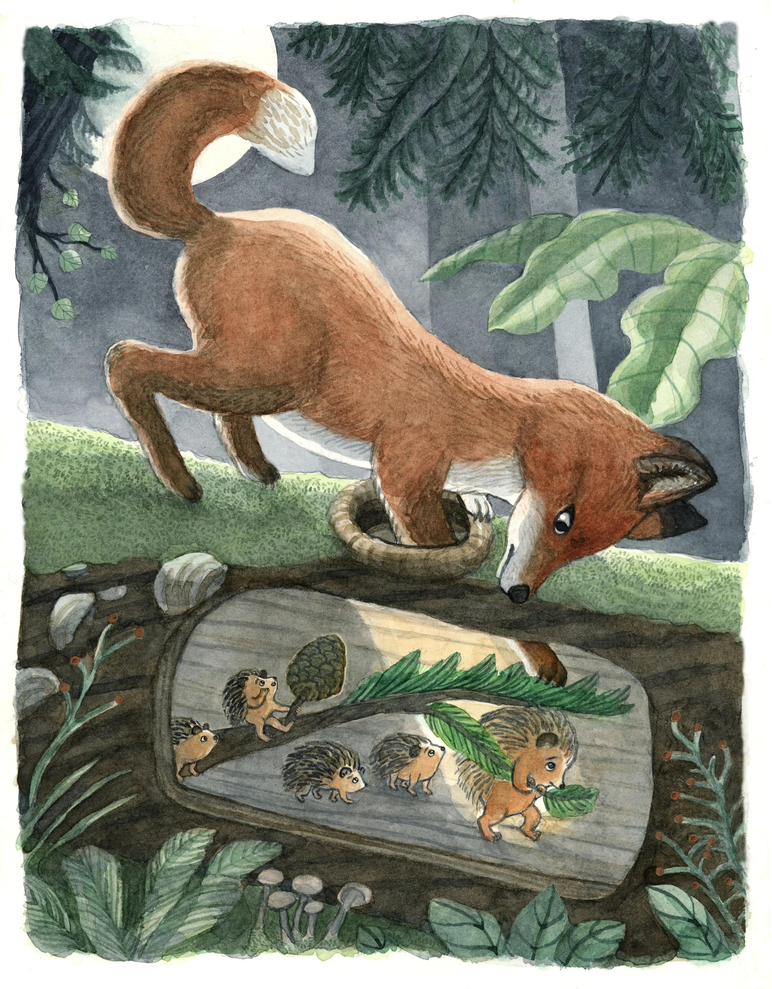 fox copy.jpg