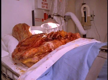 Pizza the Hutt was rushed to Alderaan General today...