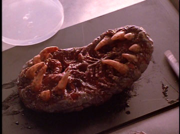 Congratulations, it's a...aaaaaAAAAHHH