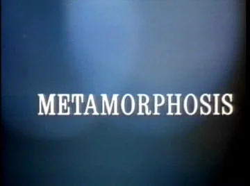 I never metamorph I didn't like.