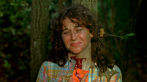 F13p1Cap_003.jpg