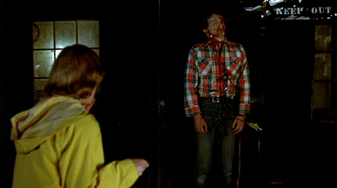 F13p1Cap_009.jpg