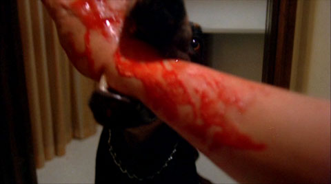 The bacon scented body wash was a mistake, a mistaaaake!