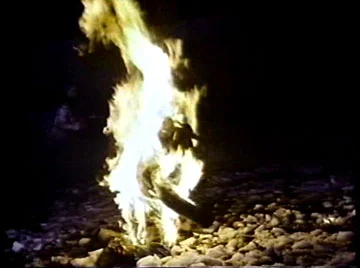 I *told* you not to let these kids play with fire, but no one listens...