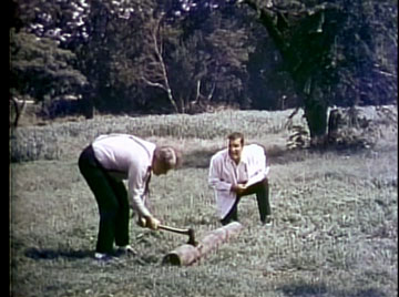 Oooh, I have that same lawn ornament that hacks away as the wind blows!