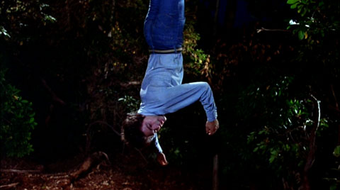 Okay, fine, I'll just hang around here, then...