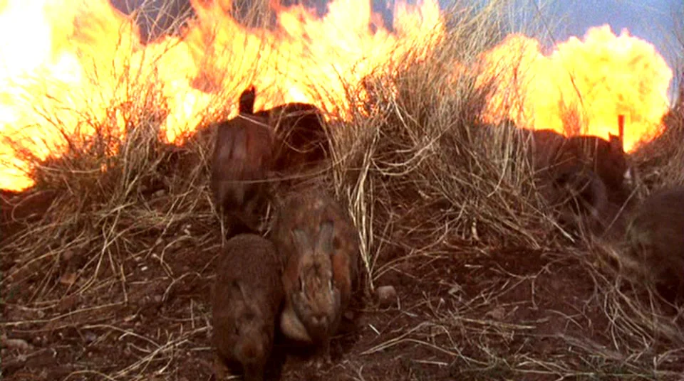 Carl, I told you not to put metal in the microwave!
