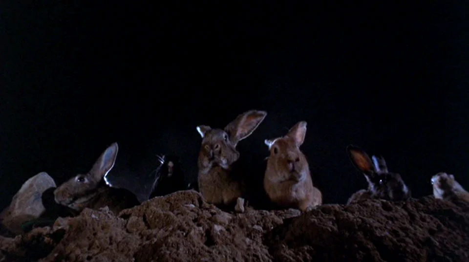 BUNNIES!! =D