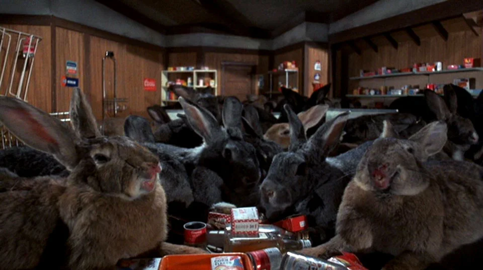 Can we help you find anything, sir?