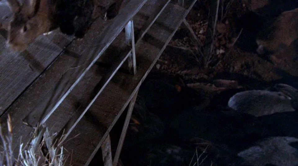 No wonder this town has so many problems, all their bridges and fences are clearly made of cheap balsa wood!
