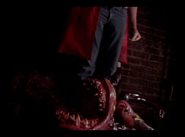 Feed me, Seymour!