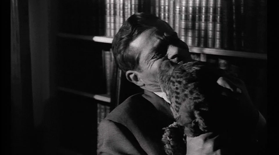 I have not seen a cat attack this laughably fake since the X-Files episode, Teso Dos Bichos.