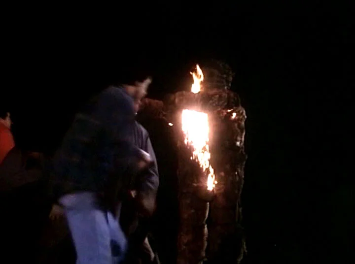 Remember kids, only YOU can prevent Bigfoot fires!