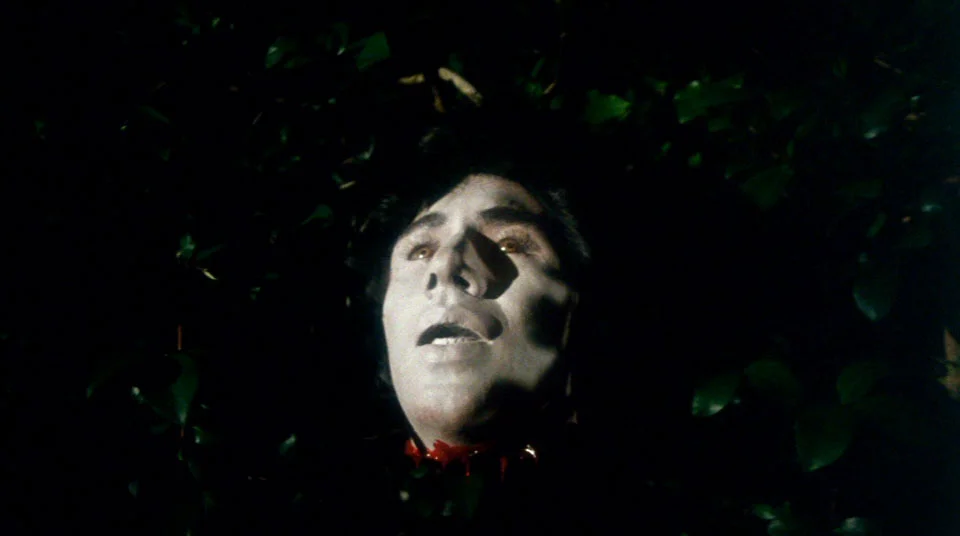 Will someone tell Michael Meyers to stop leaving his masks in the woods?
