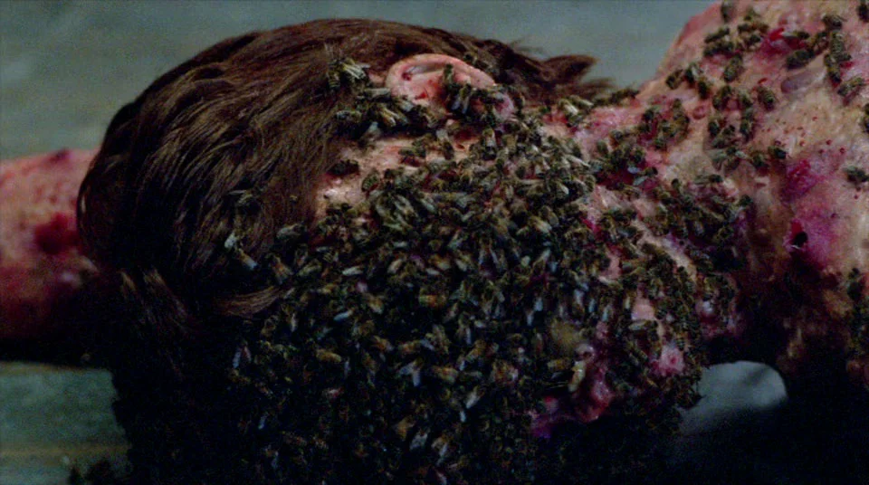 Not the bees, not the beeees!!