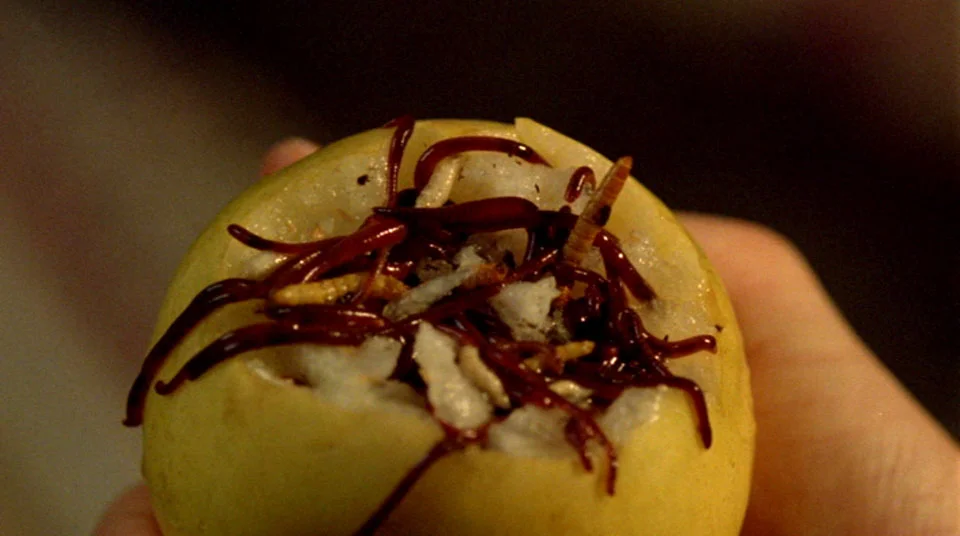 Maggots , Michael. You're eating maggots . How do they taste?