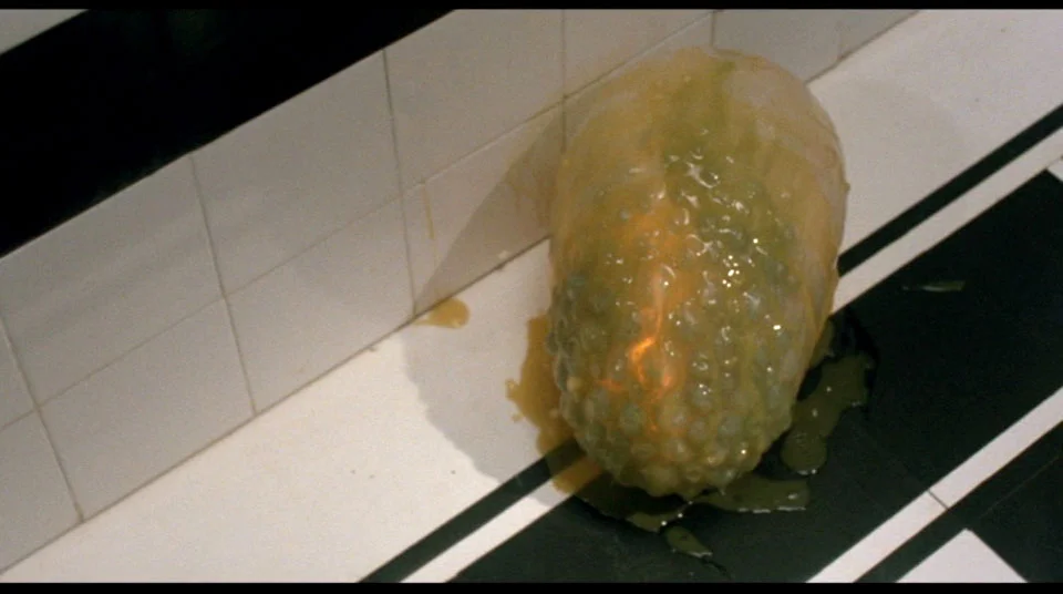 The mold knows, Jack. The mold knows...