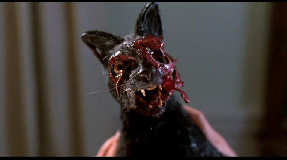 ...this one's a legit scare, AAAAHHHHH