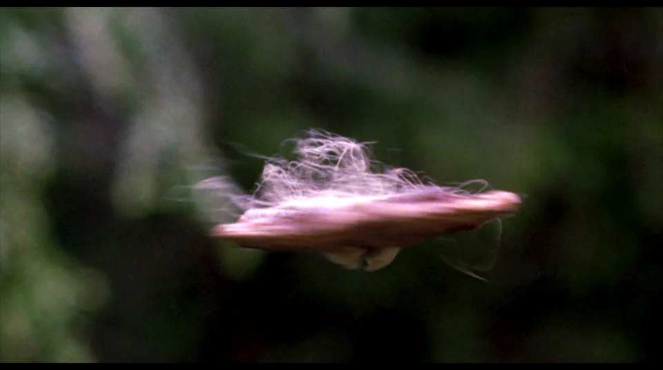 UFO - Unidentified Fleshy Object