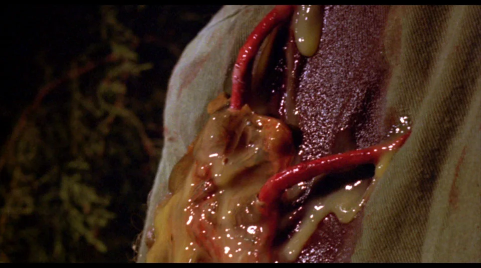 Tasty tasty scoutmaster.