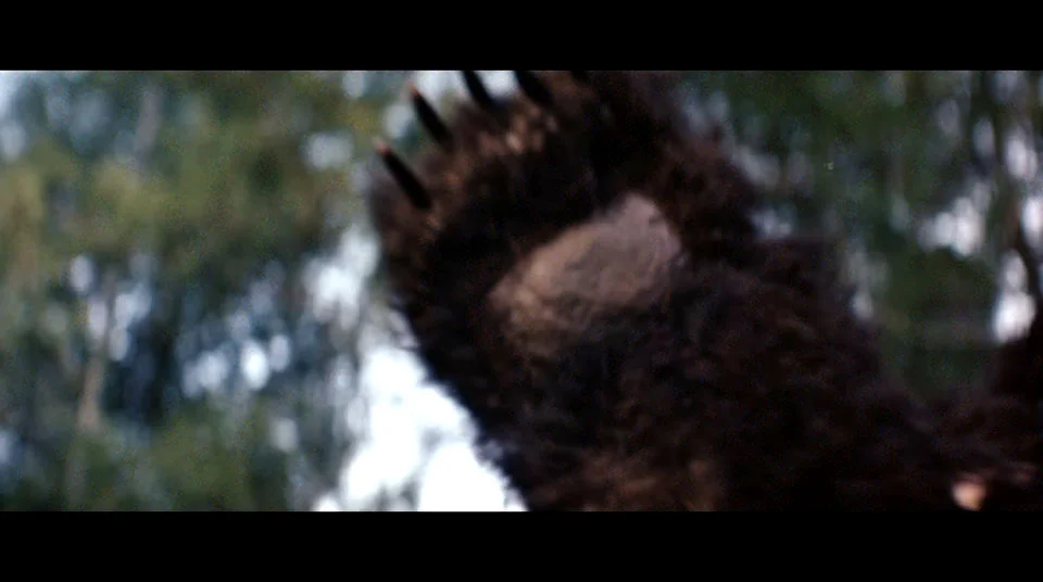 Dillon you son of a bitch!
