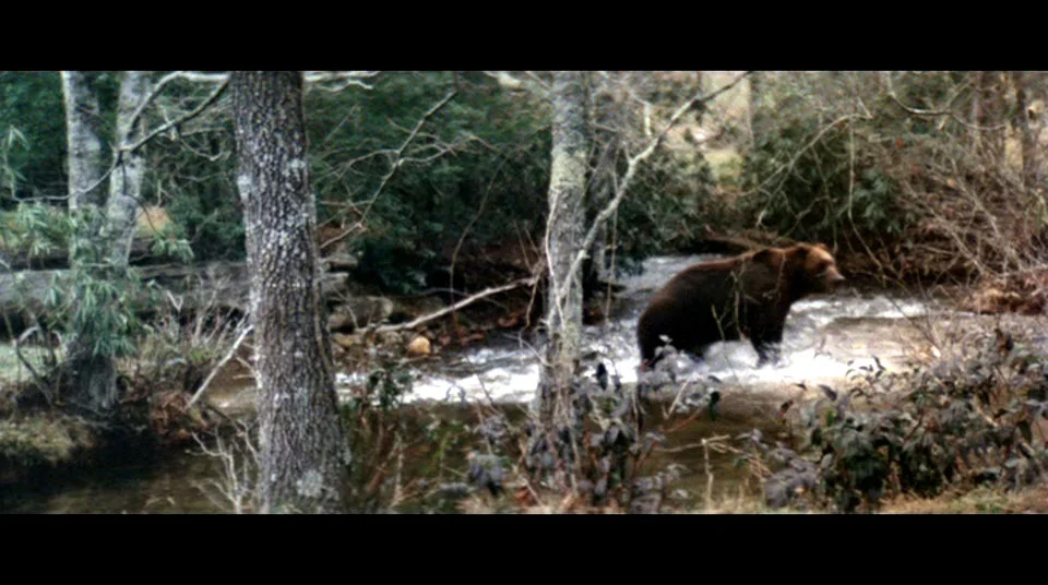 You are one furry mother fucker.
