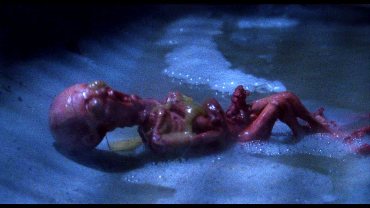 ABORTED MUTANT NINJA FOETUS