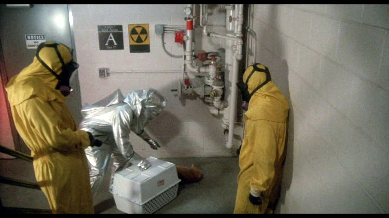 Me trying to take my cats to the vet.