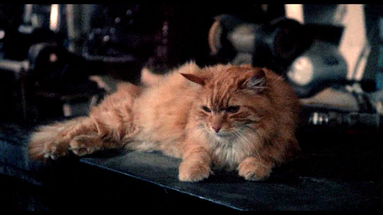 Soft kitty, warm kitty, little ball of death…
