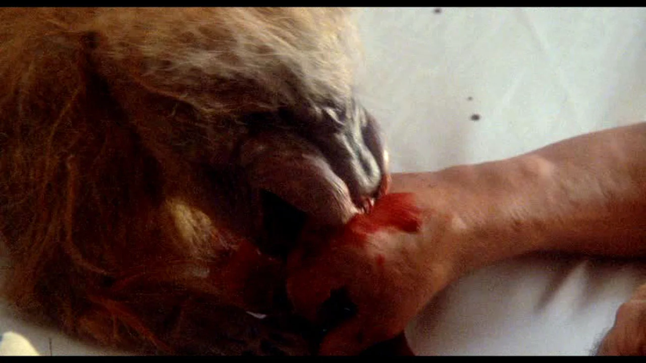 Let's be honest, this is the most accurate representation of owning a cat in this movie.