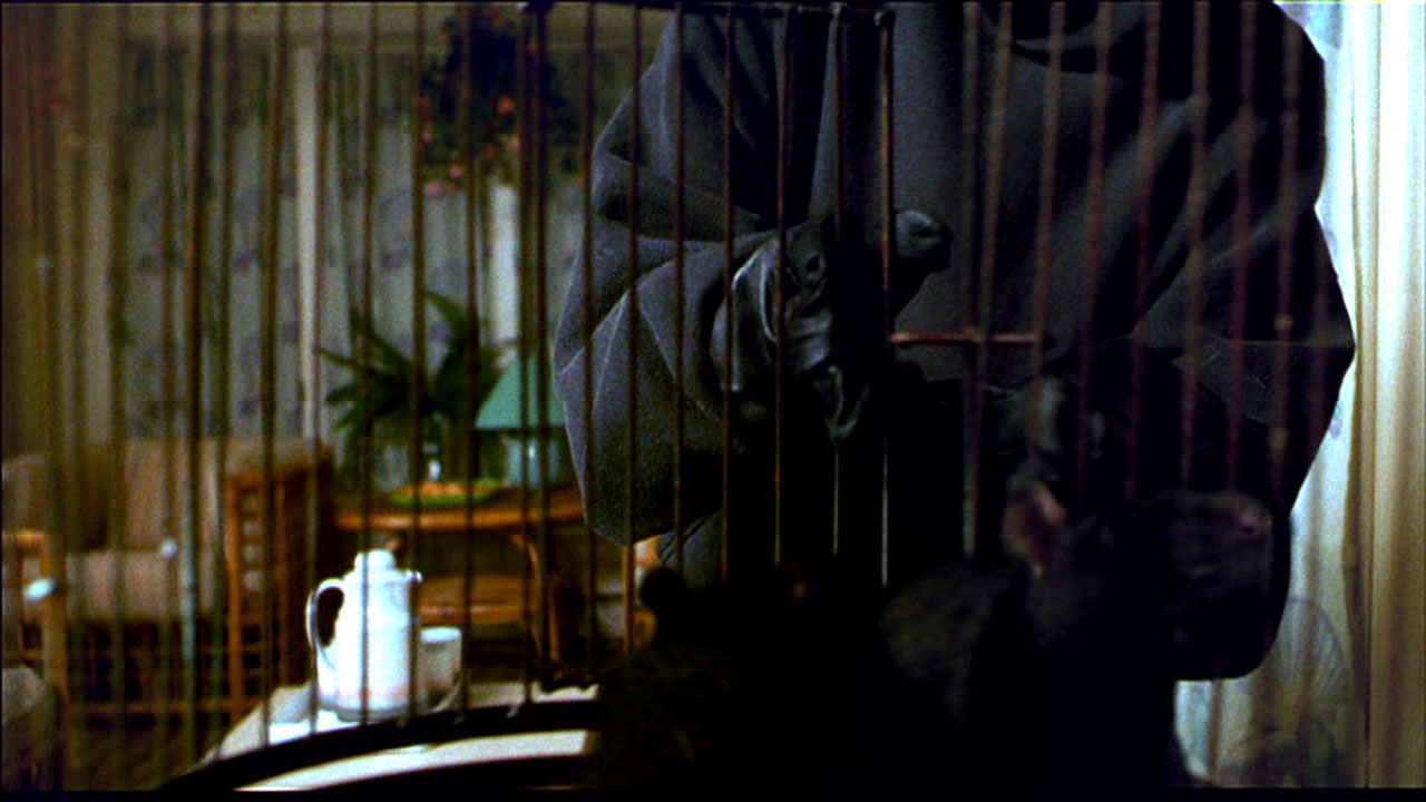 I’ll make you sing, ya stoll pigeon, ya dirty rat!
