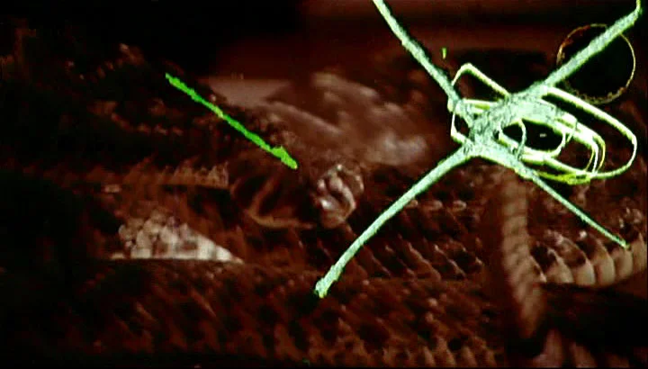 The film scratches have angered the snakes!