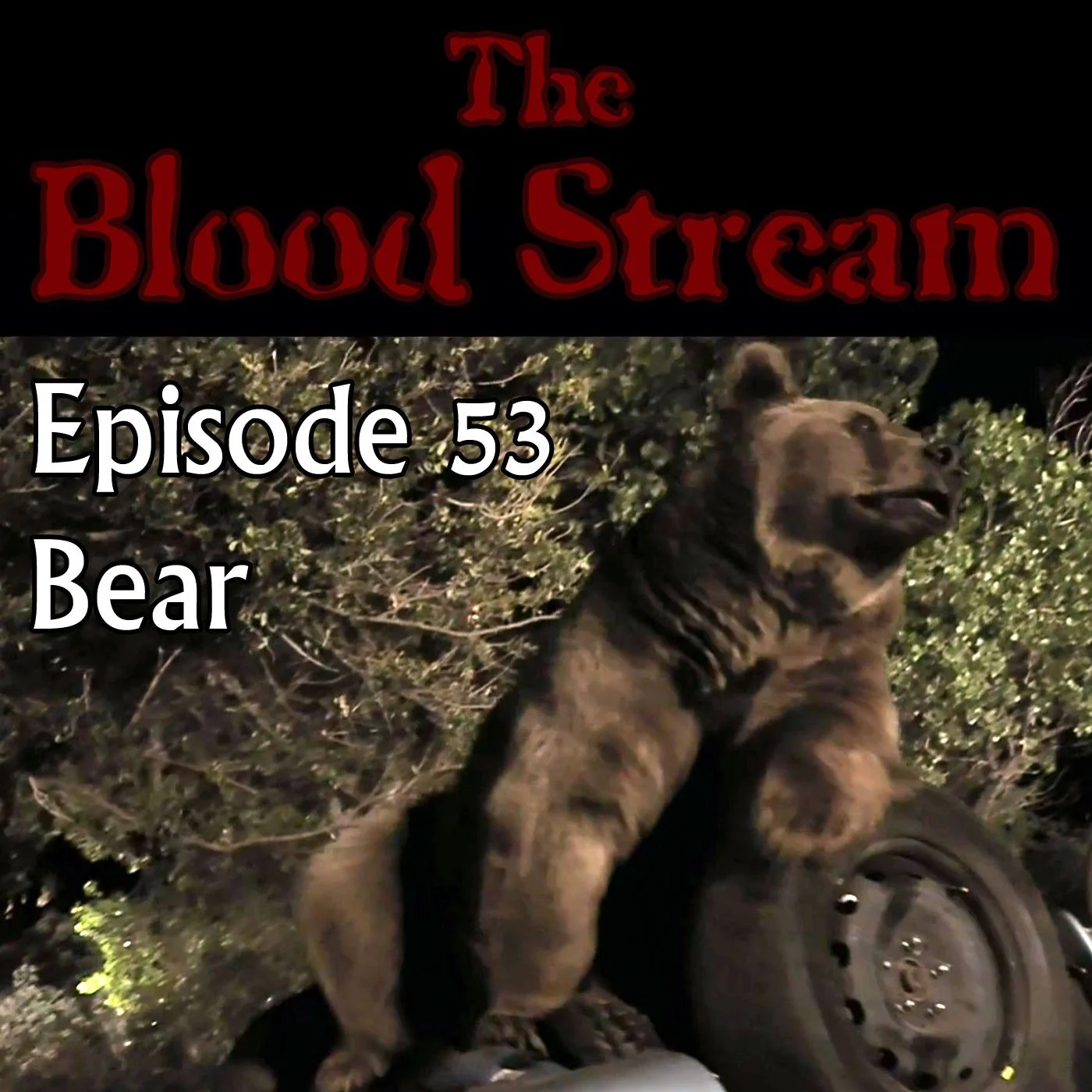 The Blood Stream - Episode 00053 - Bear episode artwork