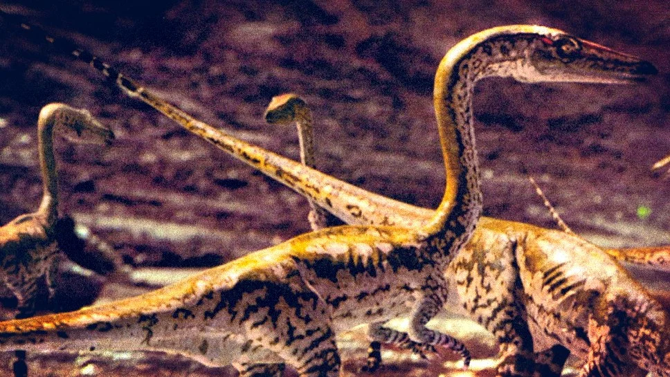 Fotografia pochodzi z książki towarzyszącej serialowi: Tim Haines Wędrówki z dinozaurami , MUZA SA, Warszawa 2000, © BBC Worldwide, 1999