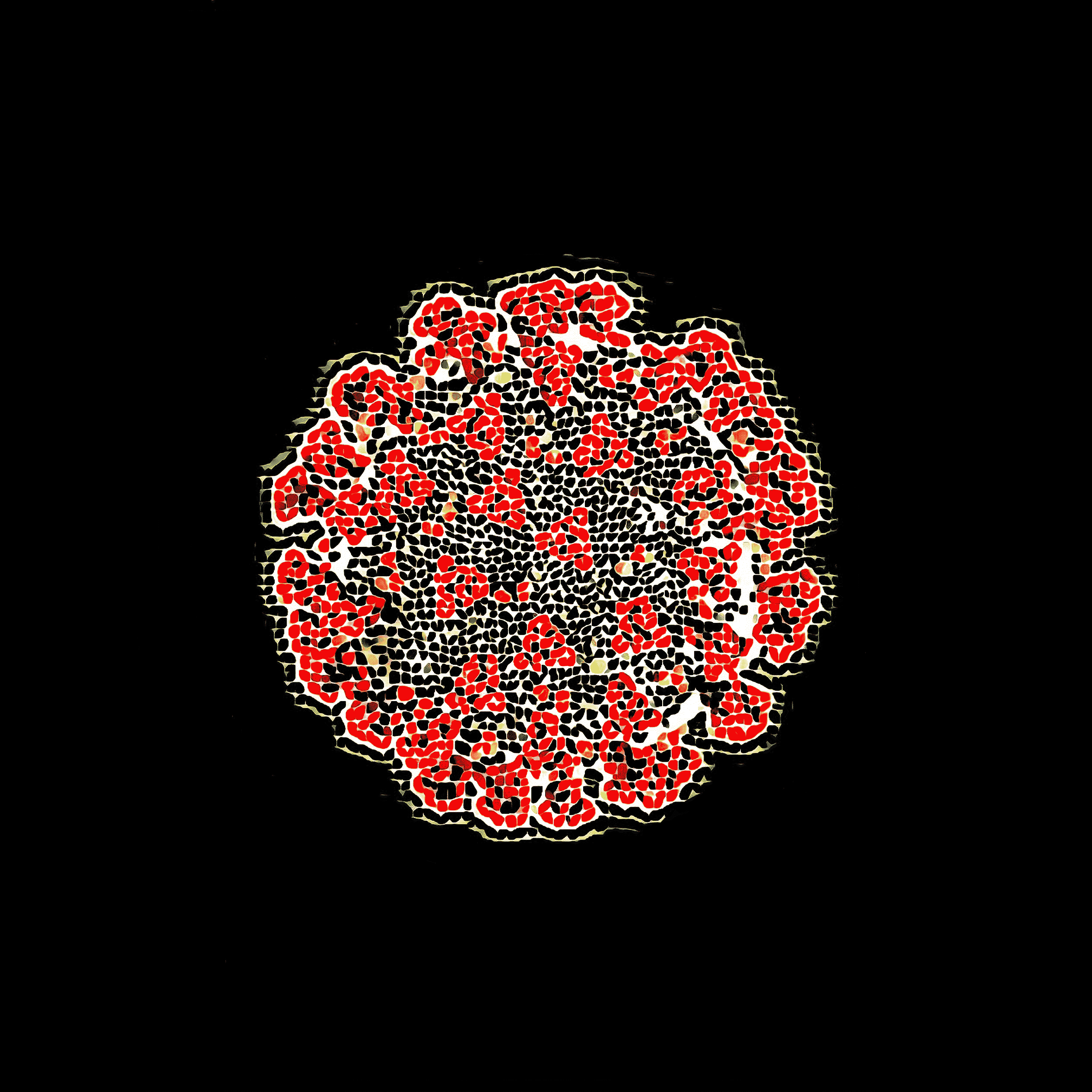 Prostesty a Covid-19