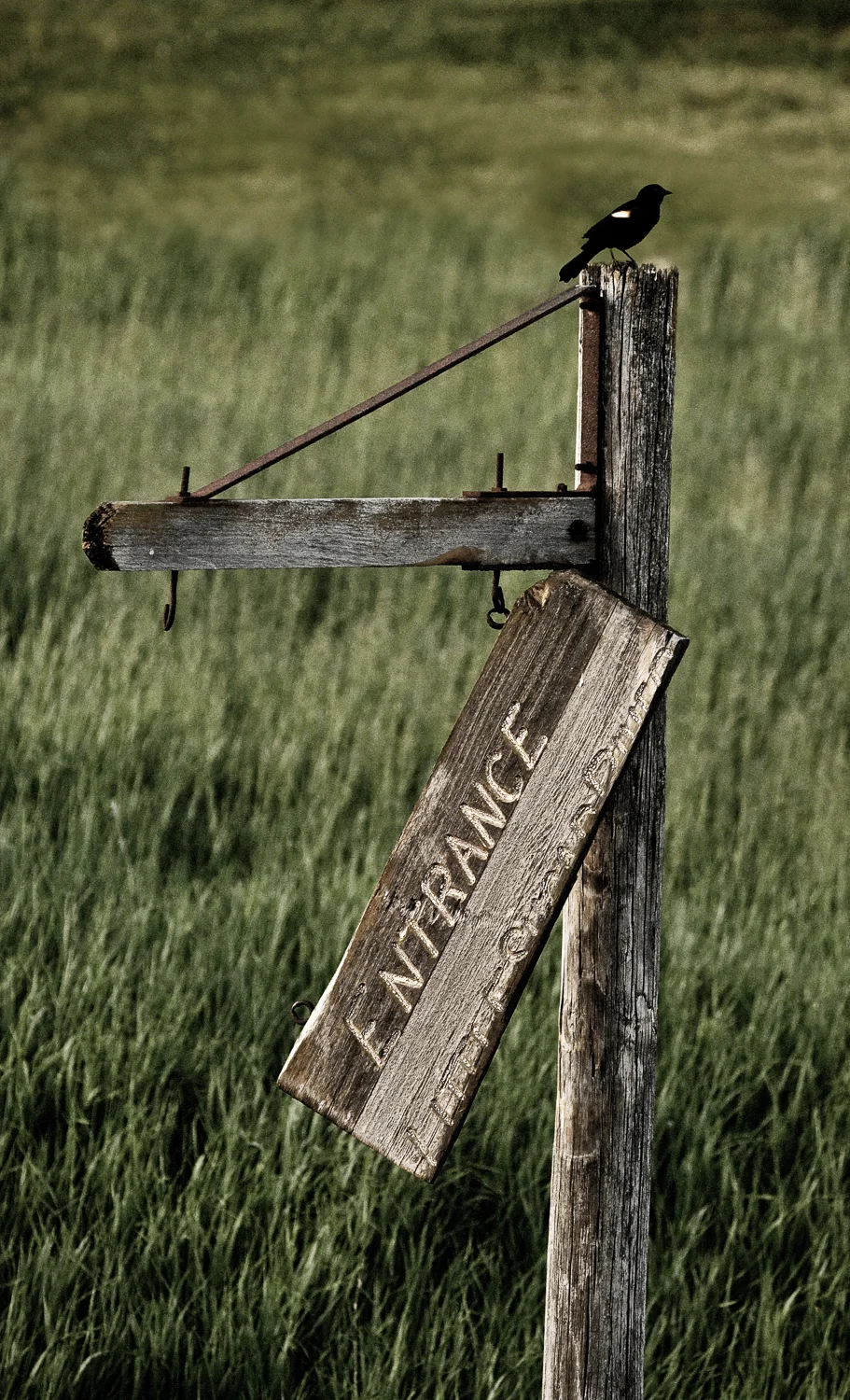 _CWM1032-Edit.jpg
