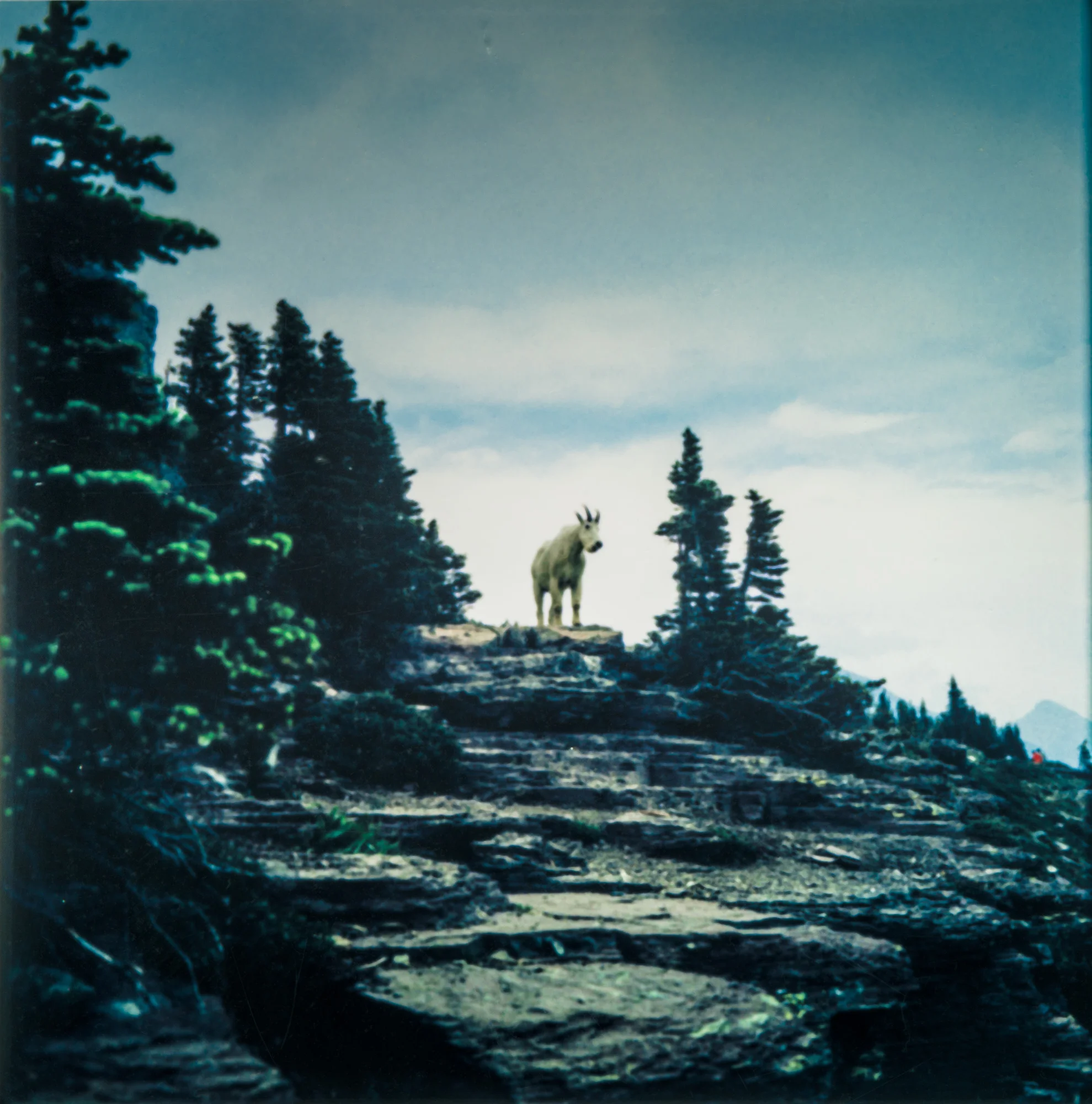 Glacier National Park, 2013